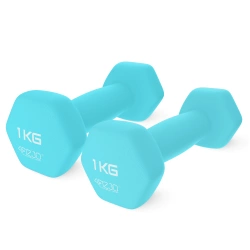 Jednoruční činky Classic 2 x 1 kg