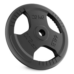 Litinová závaží 20 kg