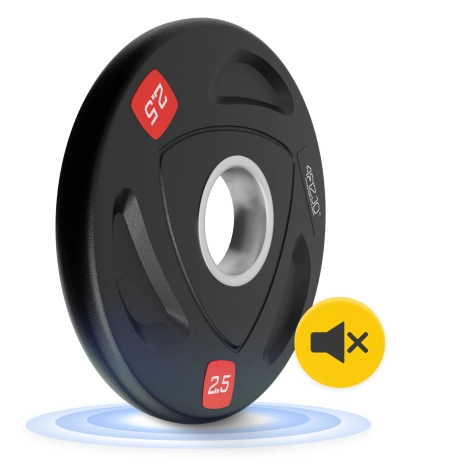 Olympijská závaží 2 x 2,5 kg