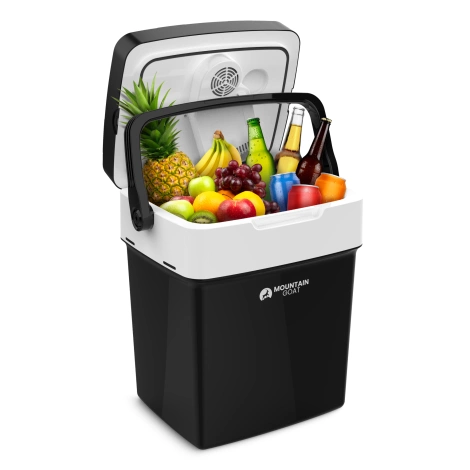 Přenosná elektrická lednice 29 litrů