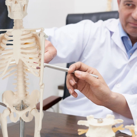 Anatomický model lidského těla 45 cm